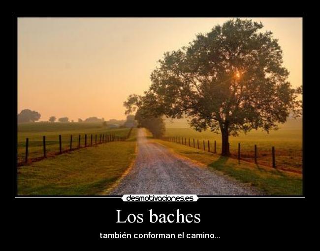 Los baches  - 