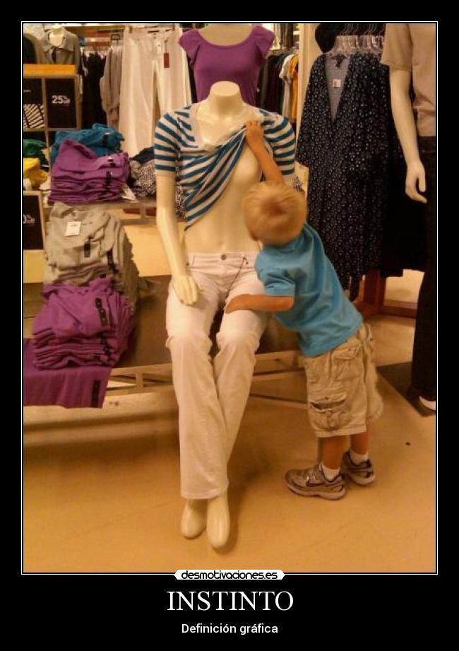 INSTINTO - Definición gráfica