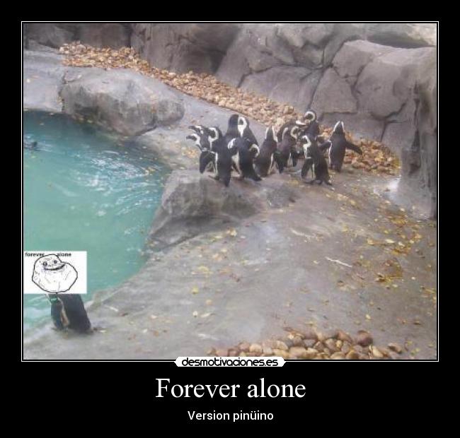 Forever alone - 