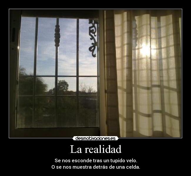 La realidad - Se nos esconde tras un tupido velo.
O se nos muestra detrás de una celda.