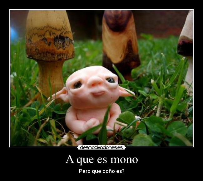 A que es mono | Desmotivaciones