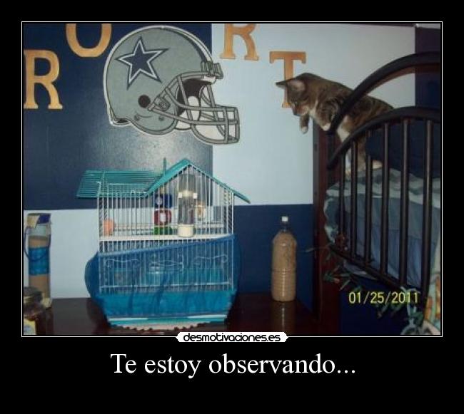 Te estoy observando... -