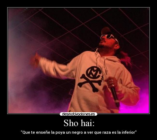 Sho hai: - Que te enseñe la poya un negro a ver que raza es la inferior