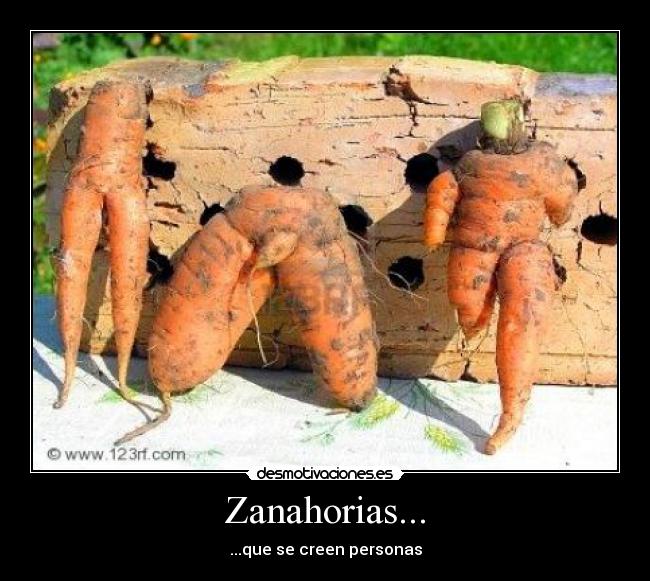 Zanahorias... - 