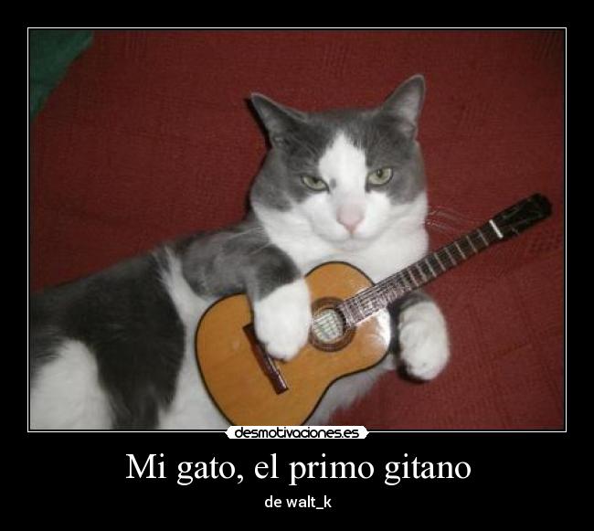 carteles  desmotivaciones