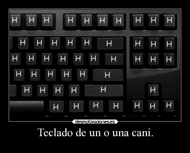 carteles teclado cani desmotivaciones