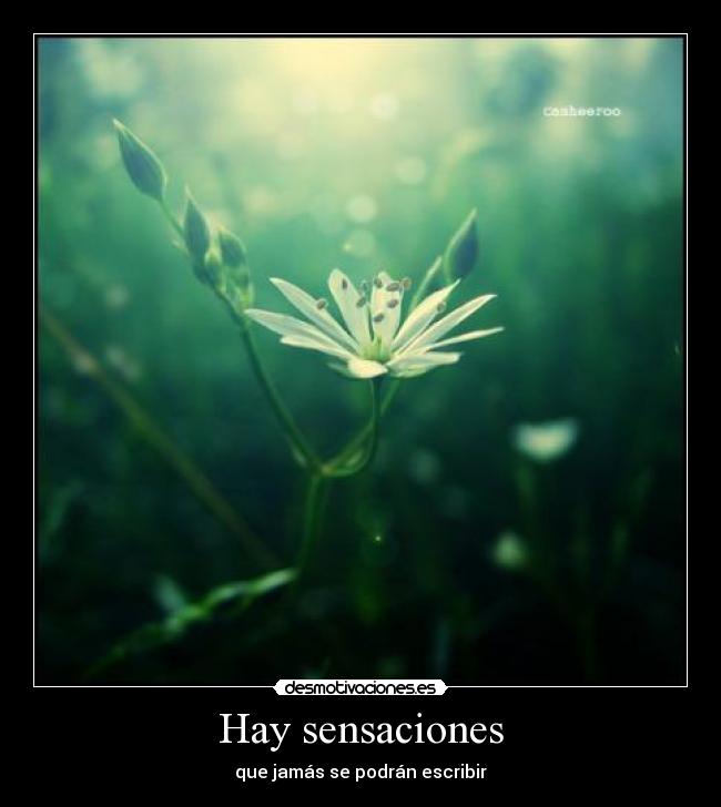 Hay sensaciones - que jamás se podrán escribir