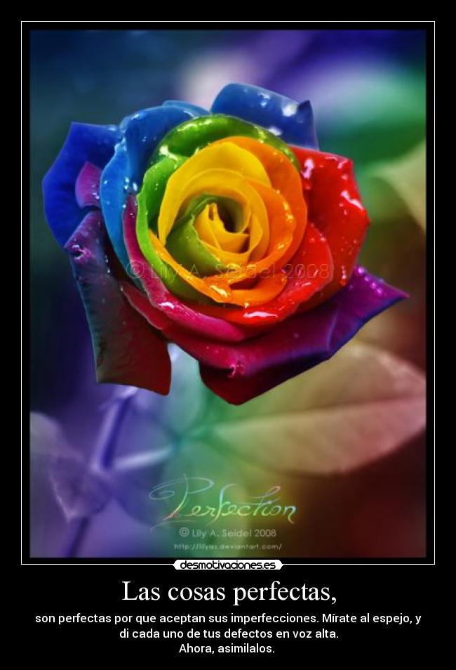 Las cosas perfectas, - son perfectas por que aceptan sus imperfecciones. Mírate al espejo, y
di cada uno de tus defectos en voz alta.
Ahora, asimilalos.