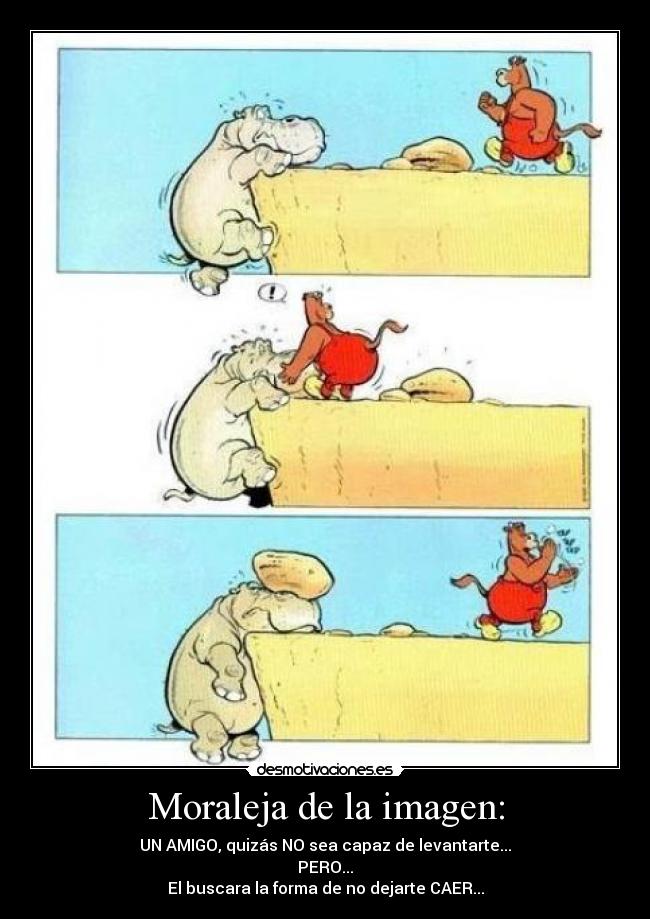 Moraleja de la imagen: - UN AMIGO, quizás NO sea capaz de levantarte...
PERO...
El buscara la forma de no dejarte CAER...