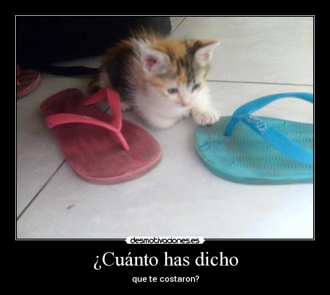 ¿Cuánto has dicho -
