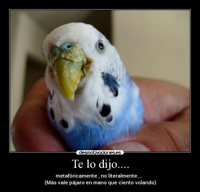 carteles jajaja desmotivaciones