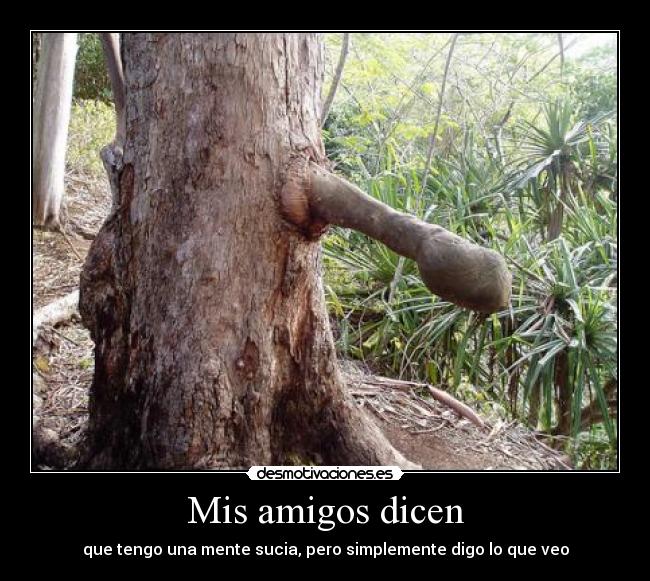 Mis amigos dicen - 