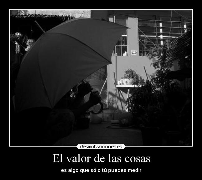 carteles valor las cosas desmotivaciones