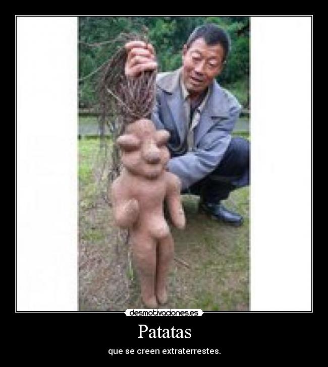 carteles nomotivao desmotivaciones