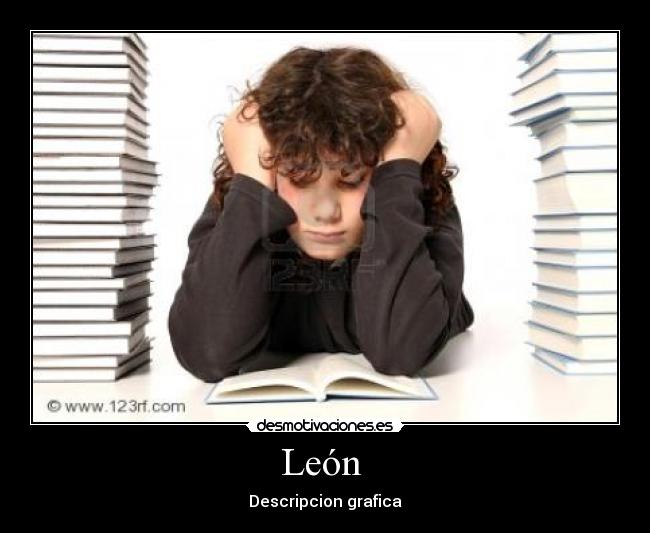 León  - Descripcion grafica