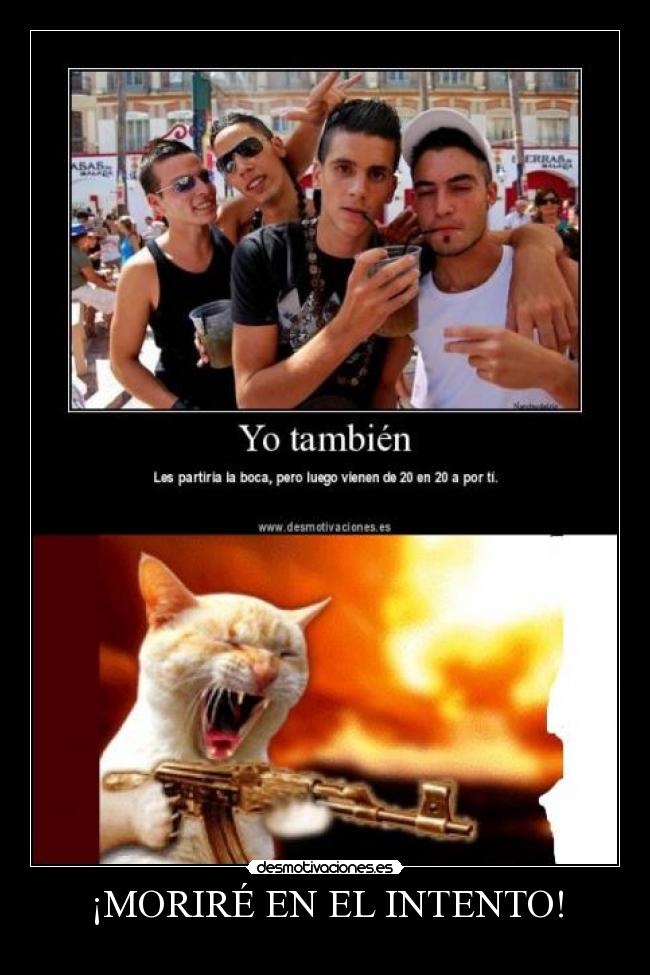¡MORIRÉ EN EL INTENTO! -