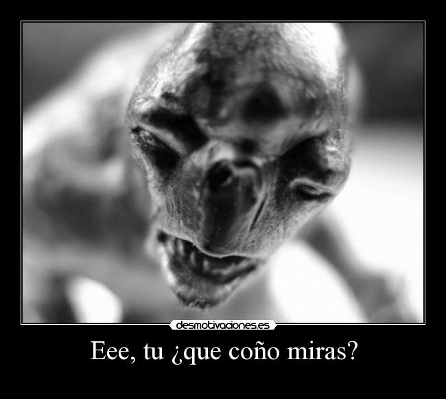 Eee, tu ¿que coño miras? -