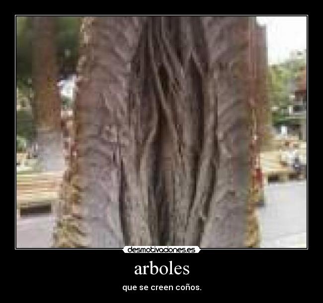 arboles -