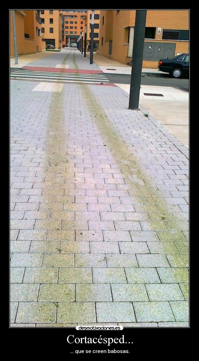 Cortacésped... - ... que se creen babosas.