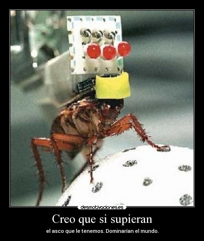 Creo que si supieran - 