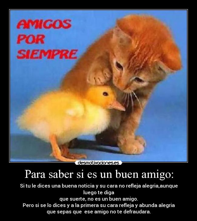 Para saber si es un buen amigo: -
