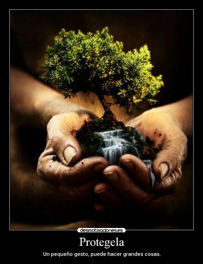 Protegela -