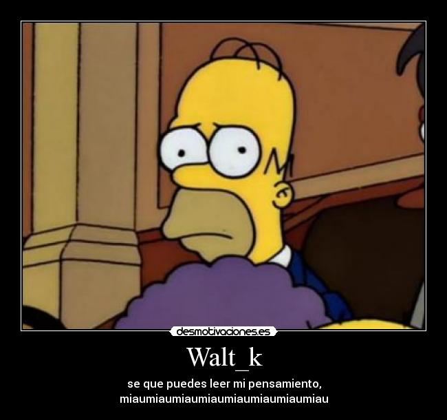 Walt_k - 
