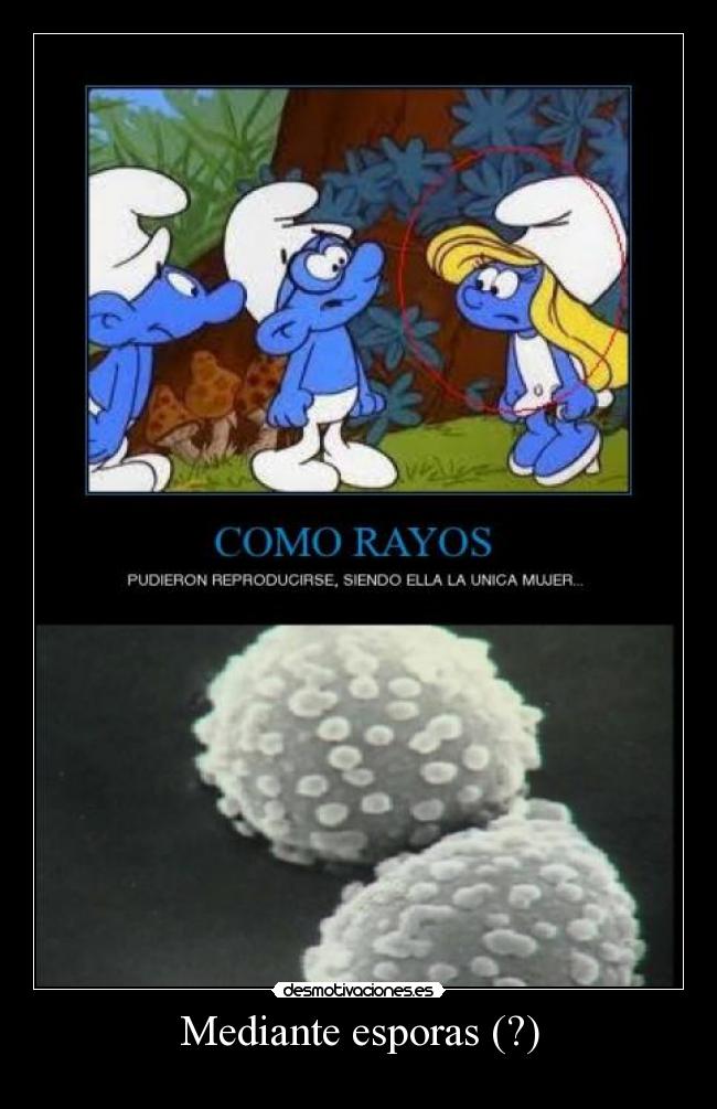 Mediante esporas (?) -