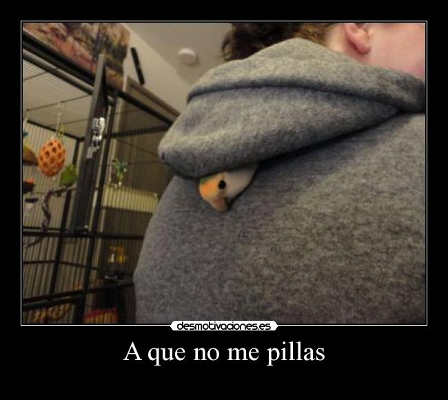 A que no me pillas -