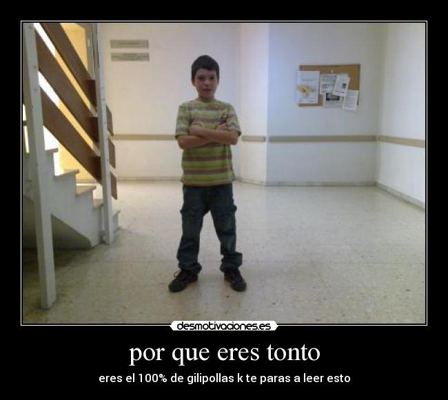 por que eres tonto - 