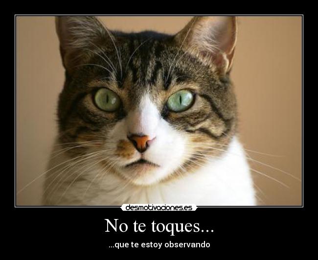 No te toques... - ...que te estoy observando