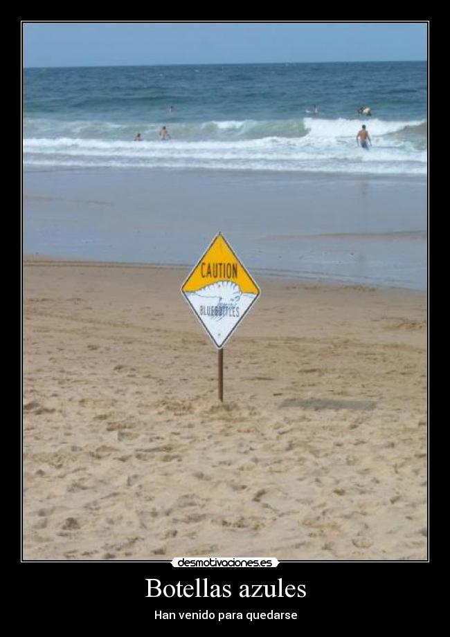 carteles desmotivaciones