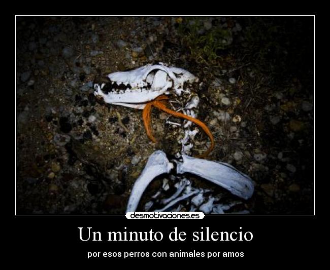 Un minuto de silencio - por esos perros con animales por amos