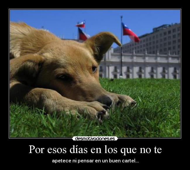 Por esos días en los que no te - apetece ni pensar en un buen cartel...