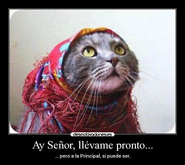 Ay Señor, llévame pronto... - ... pero a la Principal, si puede ser.