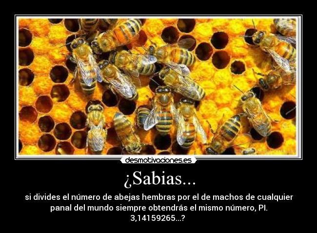 ¿Sabias... -