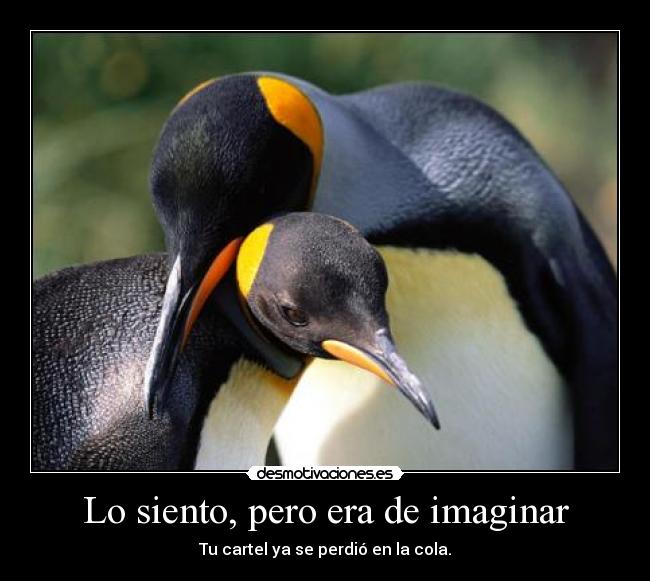 Lo siento, pero era de imaginar -