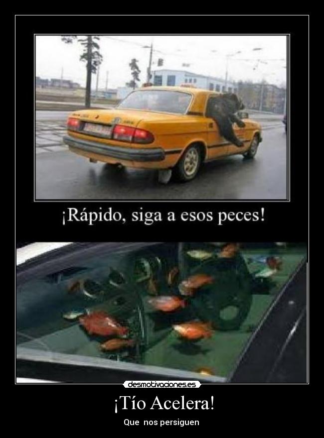 ¡Tío Acelera! -