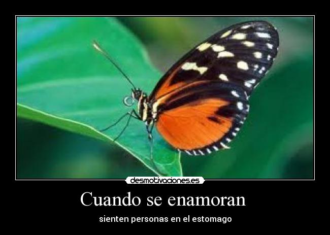 Cuando se enamoran  - 
