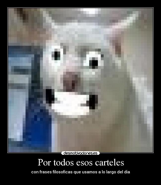 Por todos esos carteles - con frases filosoficas que usamos a lo largo del dia