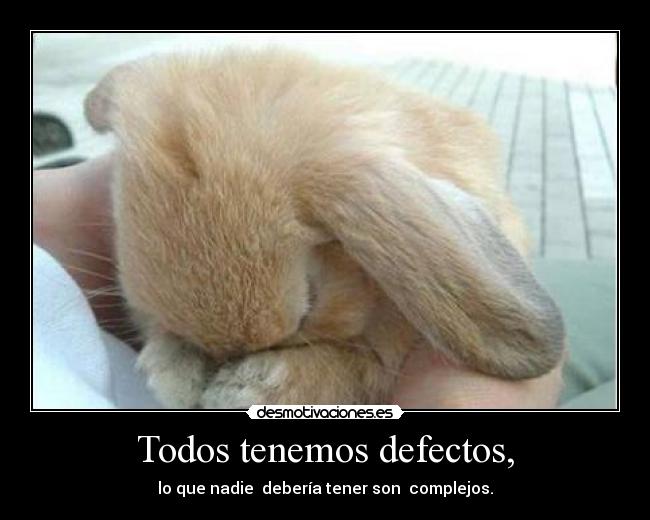 carteles defectos desmotivaciones