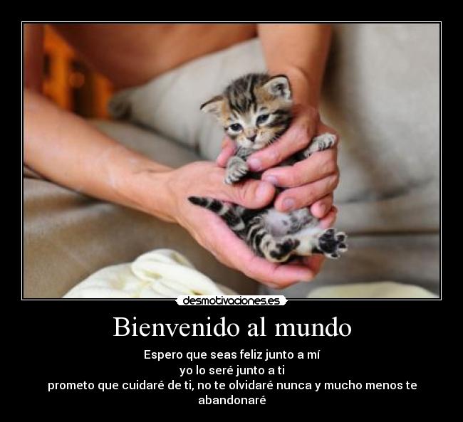 Bienvenido al mundo - Espero que seas feliz junto a mí
yo lo seré junto a ti
prometo que cuidaré de ti, no te olvidaré nunca y mucho menos te abandonaré