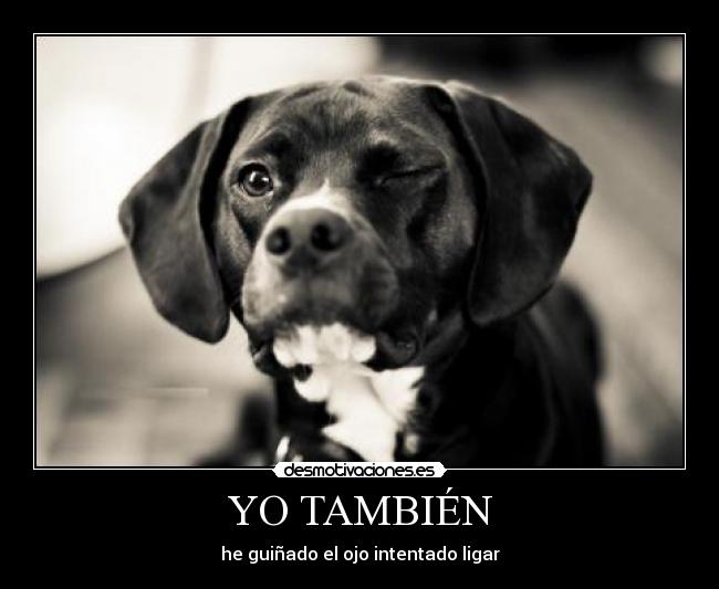 chicas folladas por animales