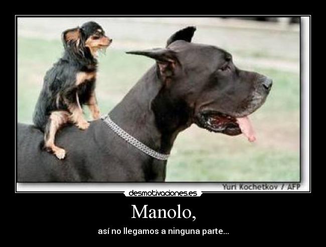 Manolo, -