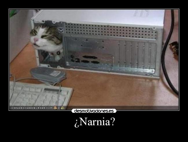 ¿Narnia? - 