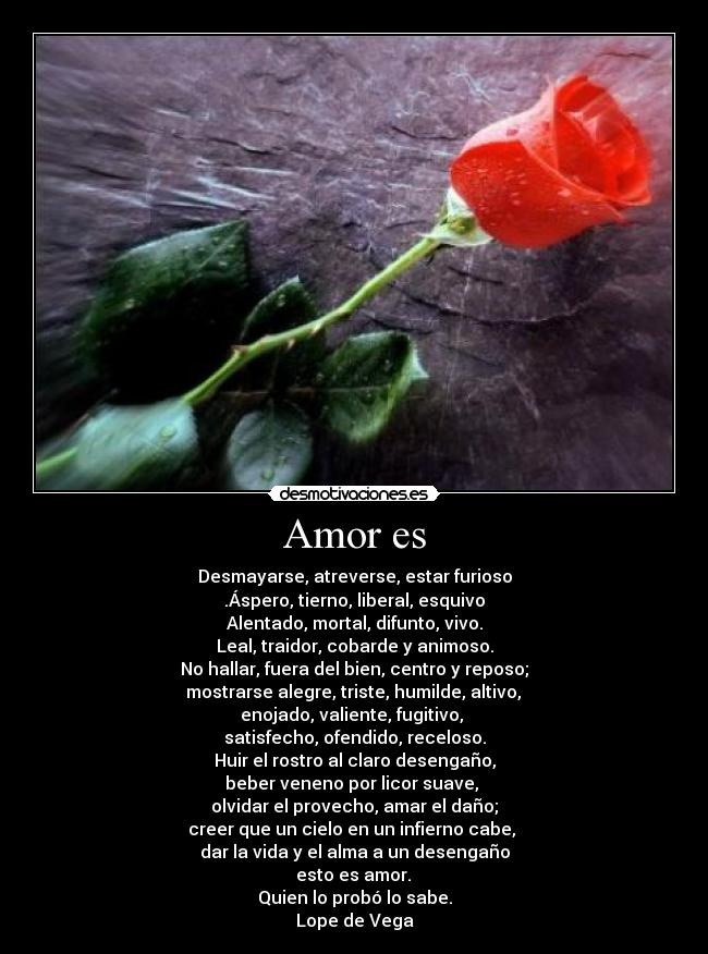 Amor es - Desmayarse, atreverse, estar furioso
.Áspero, tierno, liberal, esquivo
Alentado, mortal, difunto, vivo.
Leal, traidor, cobarde y animoso.
No hallar, fuera del bien, centro y reposo;
mostrarse alegre, triste, humilde, altivo,
enojado, valiente, fugitivo,
satisfecho, ofendido, receloso.
Huir el rostro al claro desengaño,
beber veneno por licor suave,
olvidar el provecho, amar el daño;
creer que un cielo en un infierno cabe,
dar la vida y el alma a un desengaño
esto es amor.
Quien lo probó lo sabe.
Lope de Vega