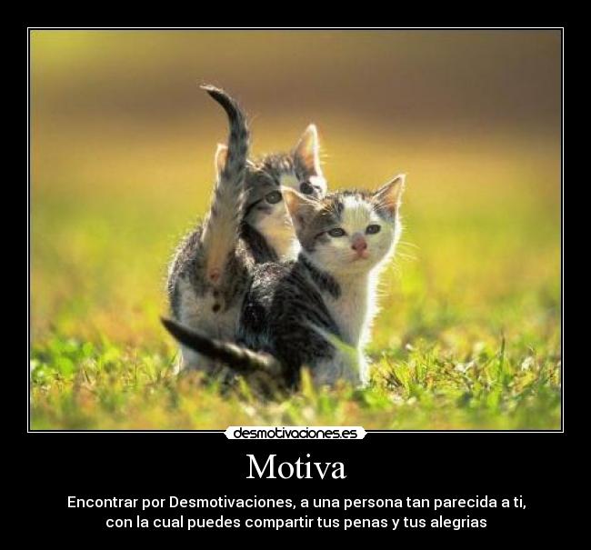 Motiva - Encontrar por Desmotivaciones, a una persona tan parecida a ti,
con la cual puedes compartir tus penas y tus alegrias