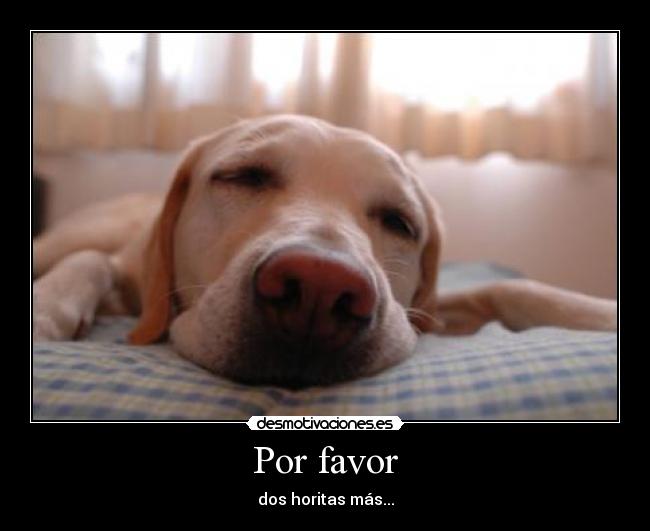 Por favor - dos horitas más...