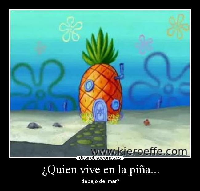 ¿Quien vive en la piña... - 