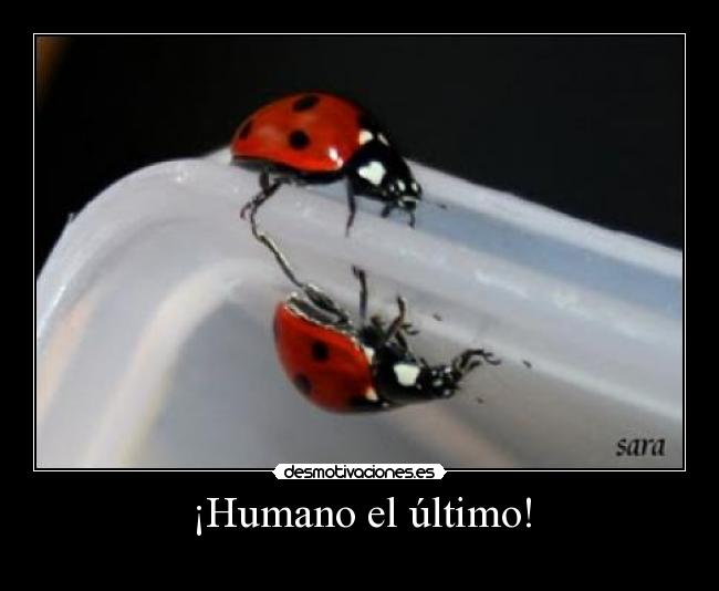 ¡Humano el último! -